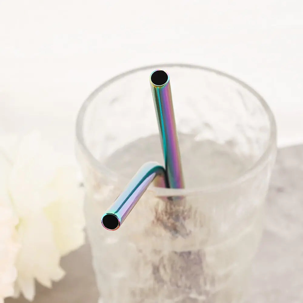 Eco Friendly Reusable Stainless Steel Straws